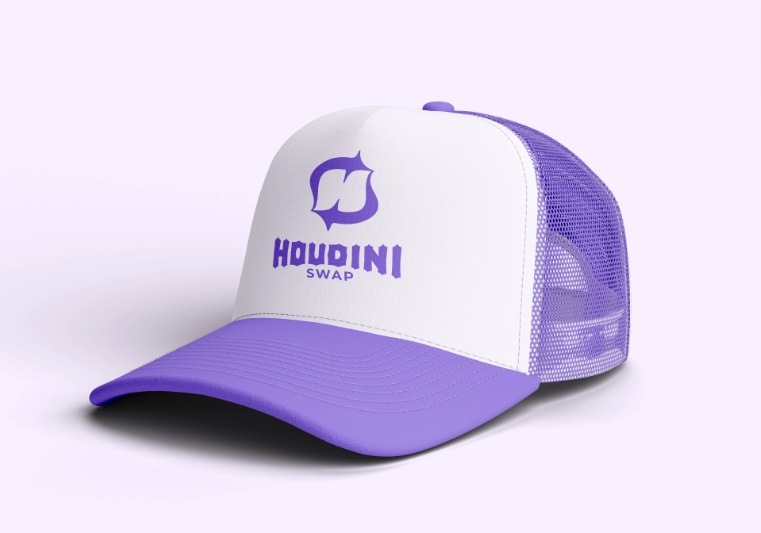 Houdini Swap project